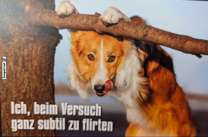 Flirten auf tierische Art! Flirten auf tierische Art!