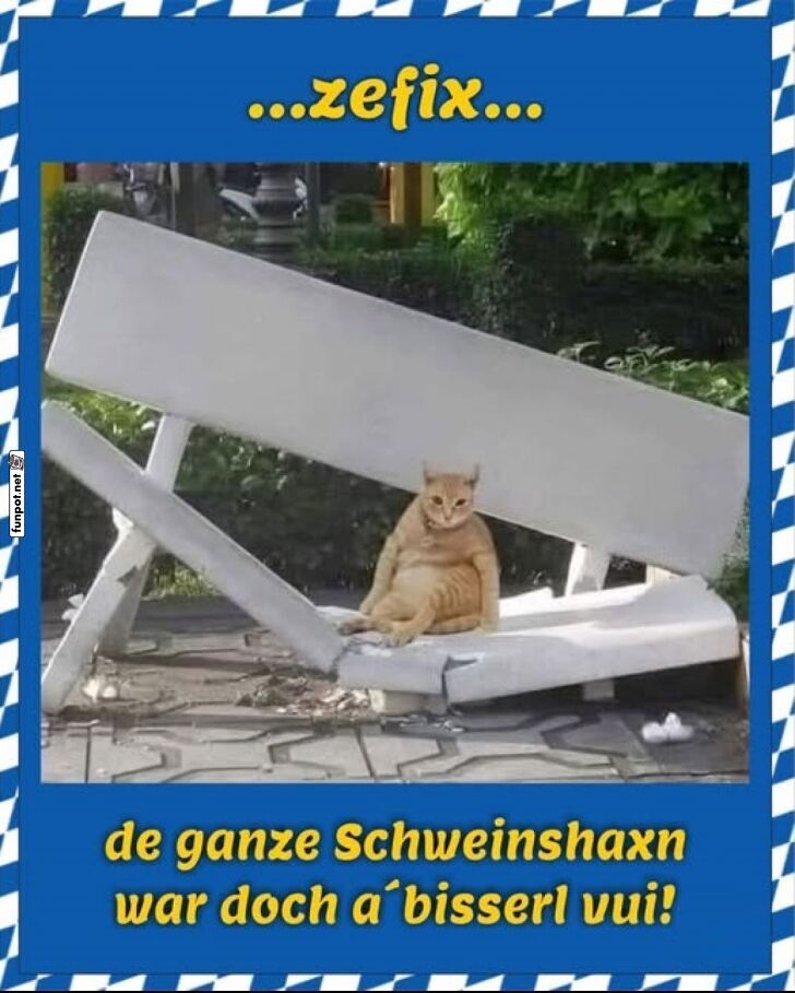 Kater krawummst die Bank Kater krawummst die Bank