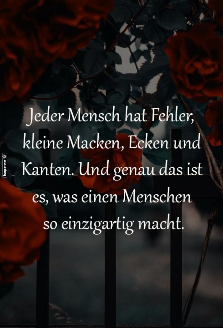 Fehler machen uns menschlich