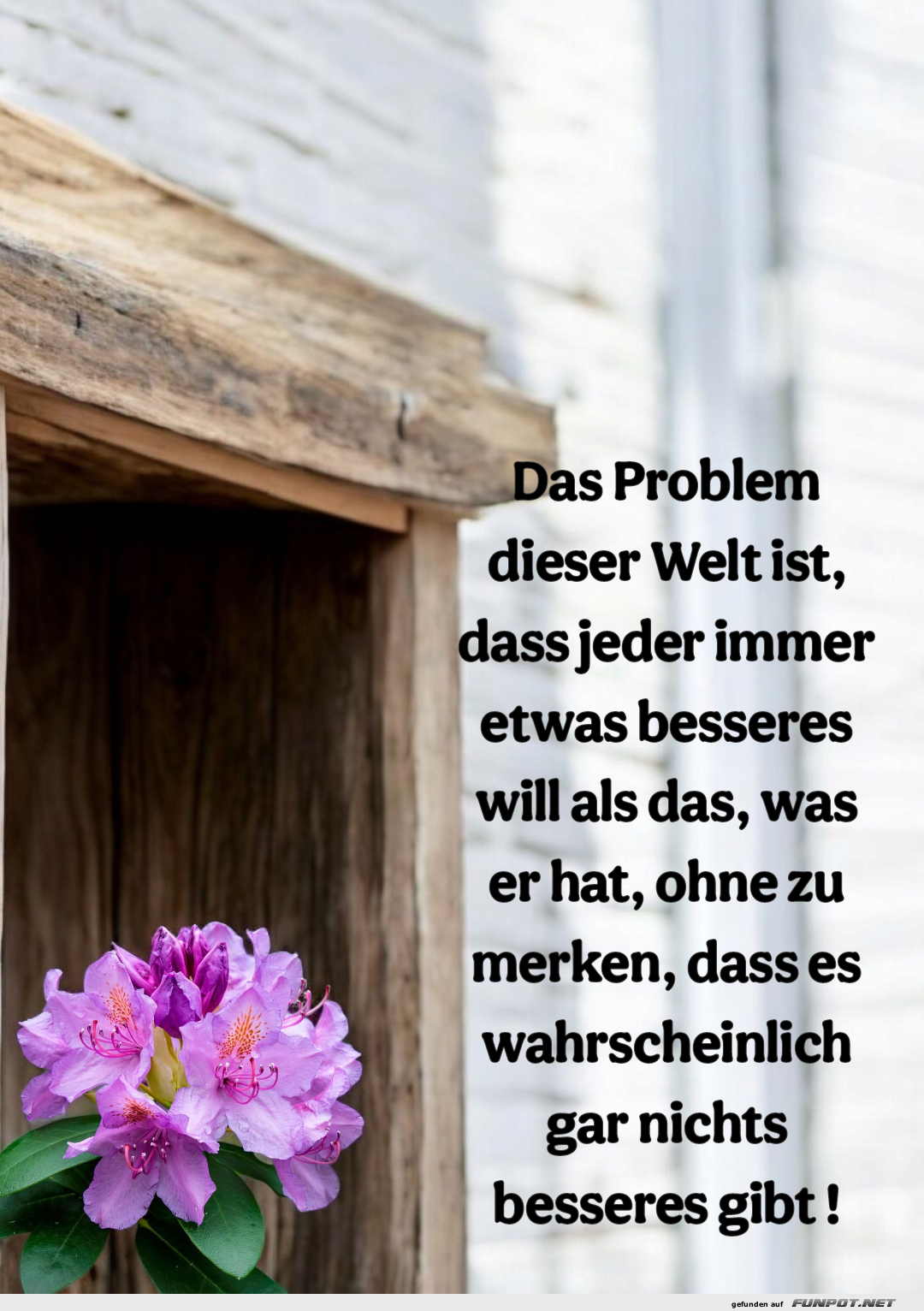 das problem dieser welt