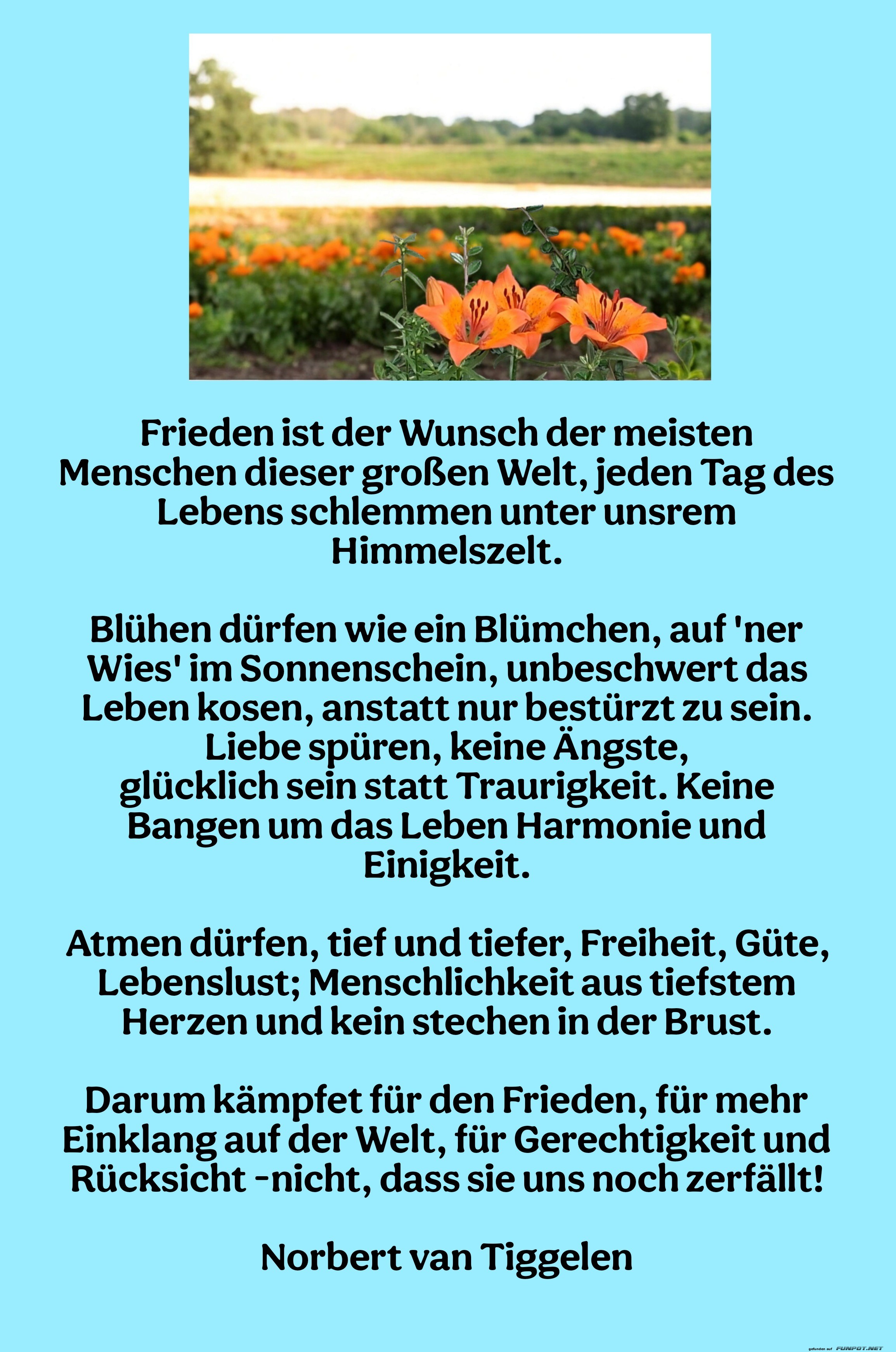 frieden ist der wunsch frieden ist der wunsch