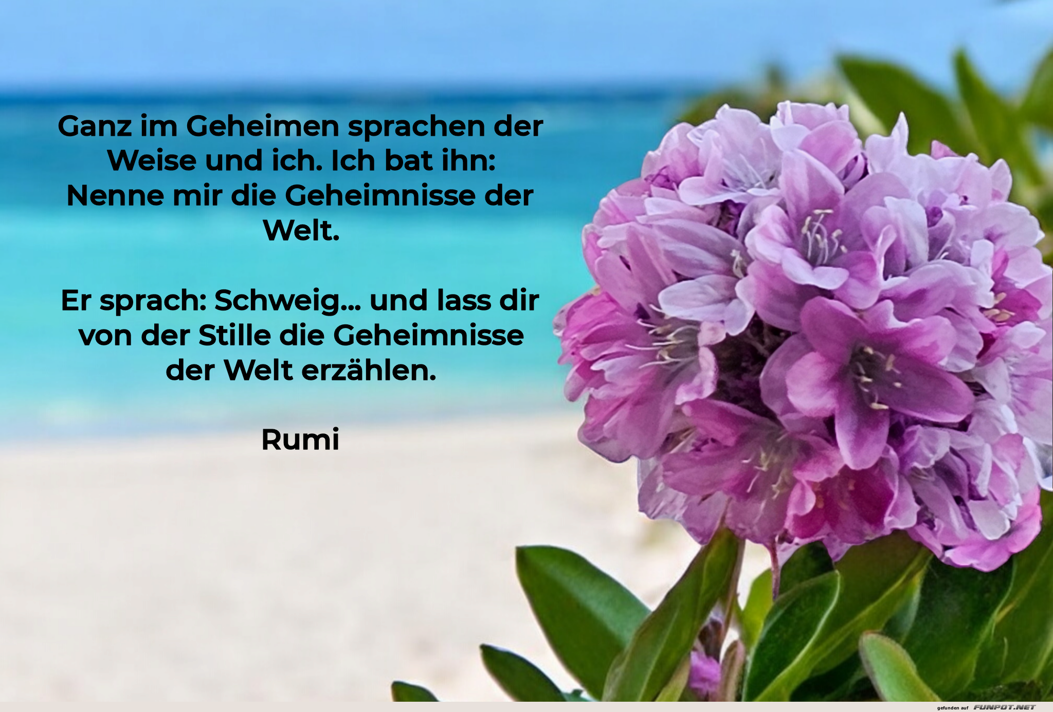 ganz im geheimen ganz im geheimen