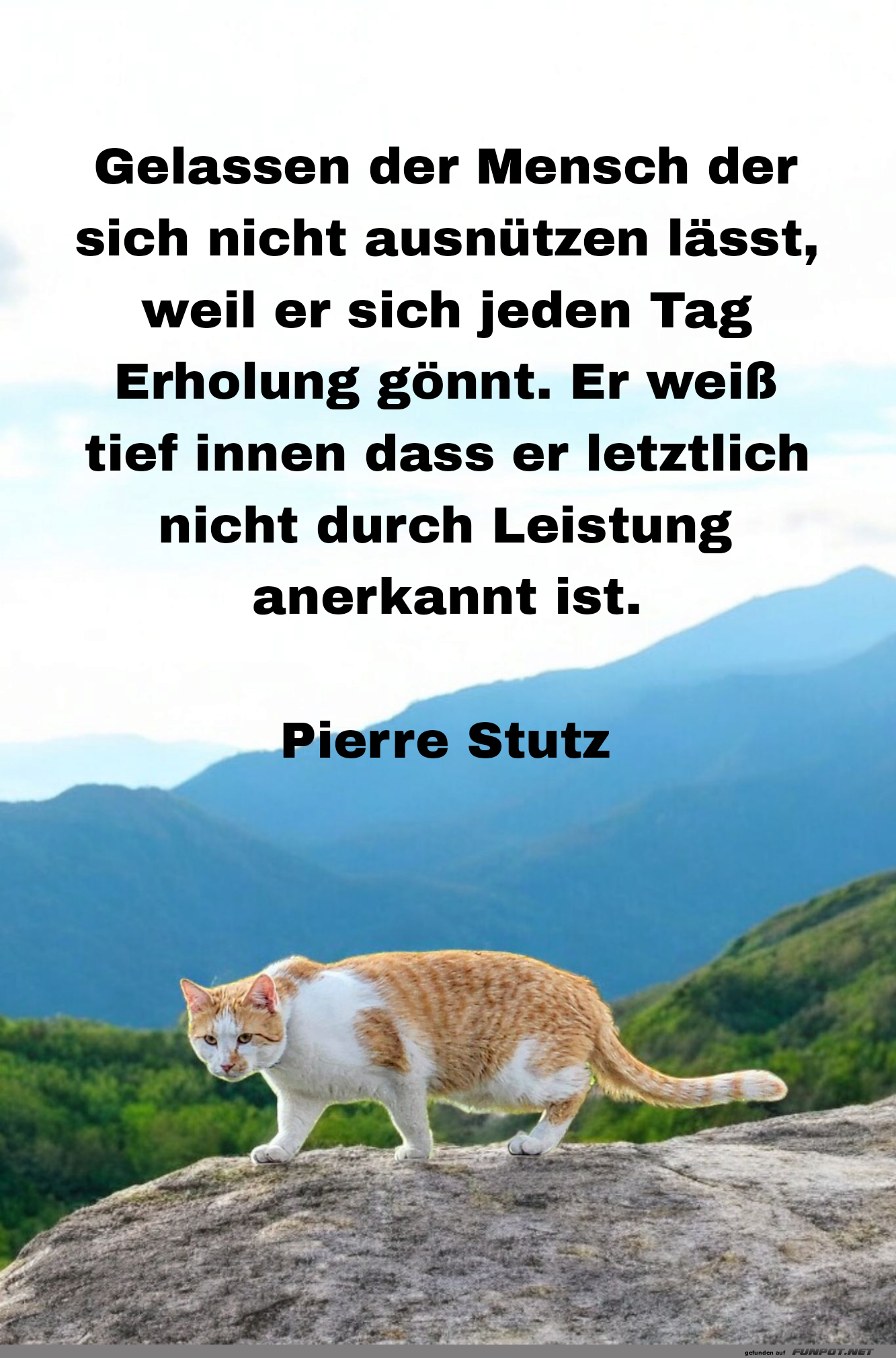 gelassen der mensch gelassen der mensch