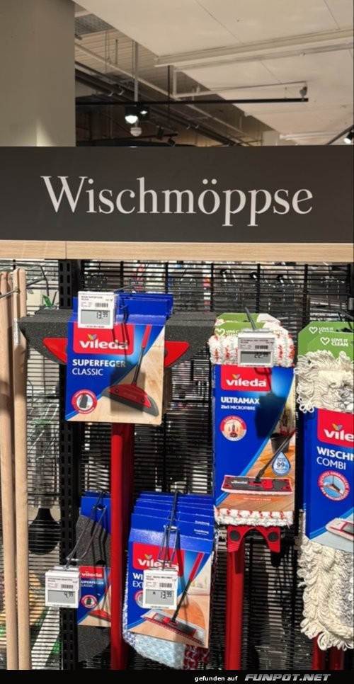Putzen mit Humor: Wischmopparade!