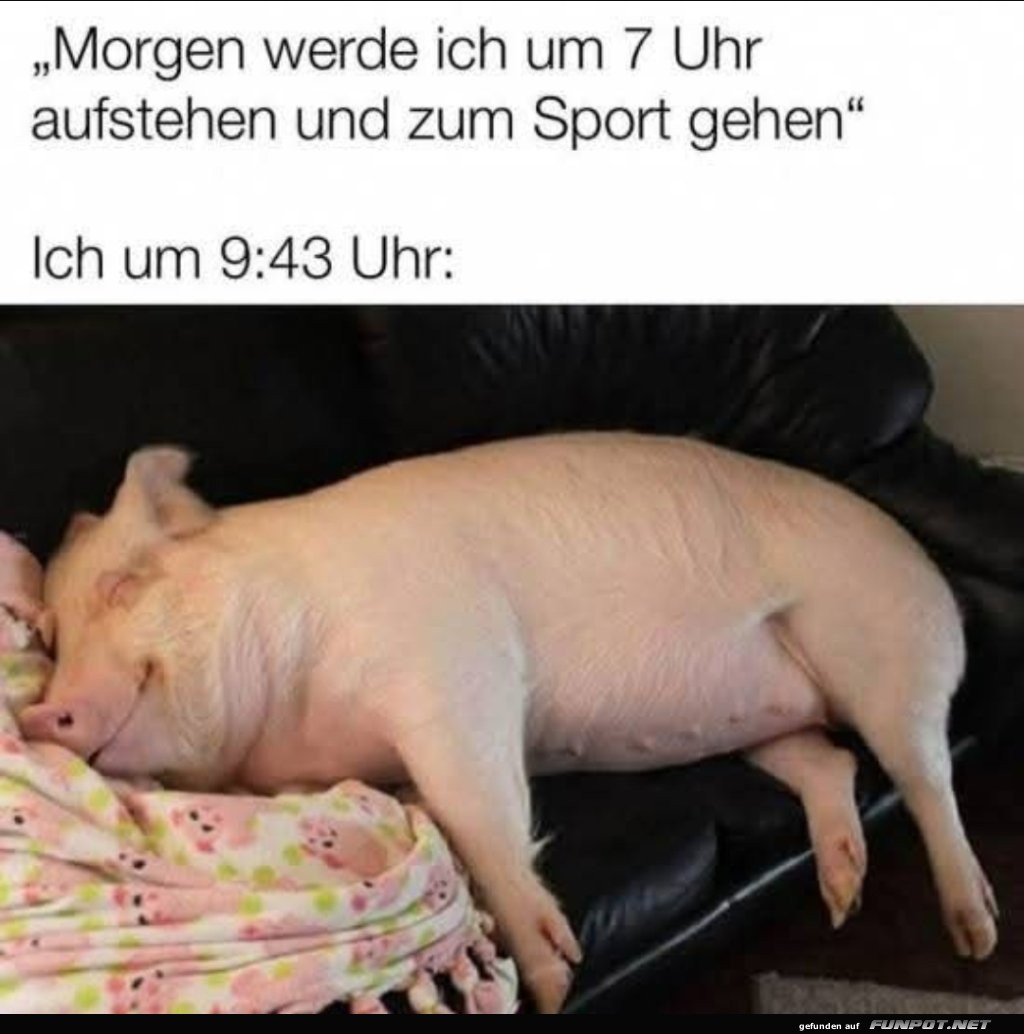 Frühes Aufstehen ist nichts für uns! Frühes Aufstehen ist nichts für uns!