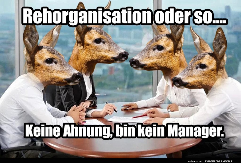 Tierisch verwirrte Meeting-Strategien!