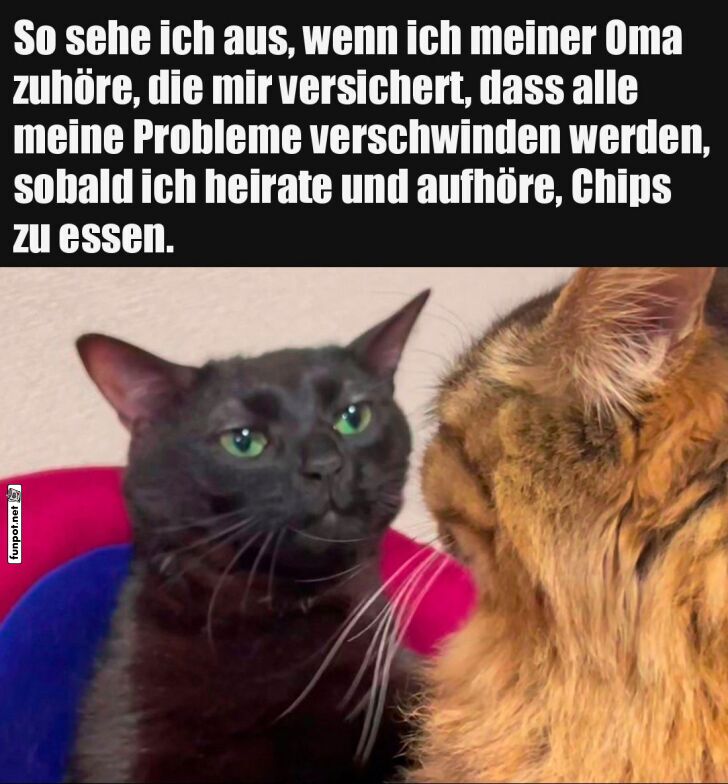 Wenn Oma Ratschläge gibt Wenn Oma Ratschläge gibt