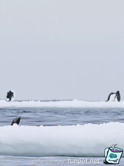 Lustiger Pinguin-Sprung Lustiger Pinguin-Sprung