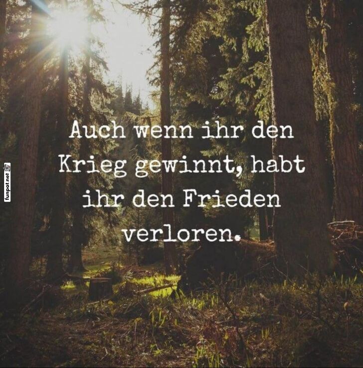 Frieden: 1, Krieg: 0