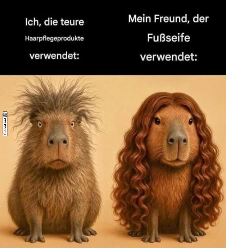 Wenn Haare einfach nicht mitspielen wollen Wenn Haare einfach nicht mitspielen wollen