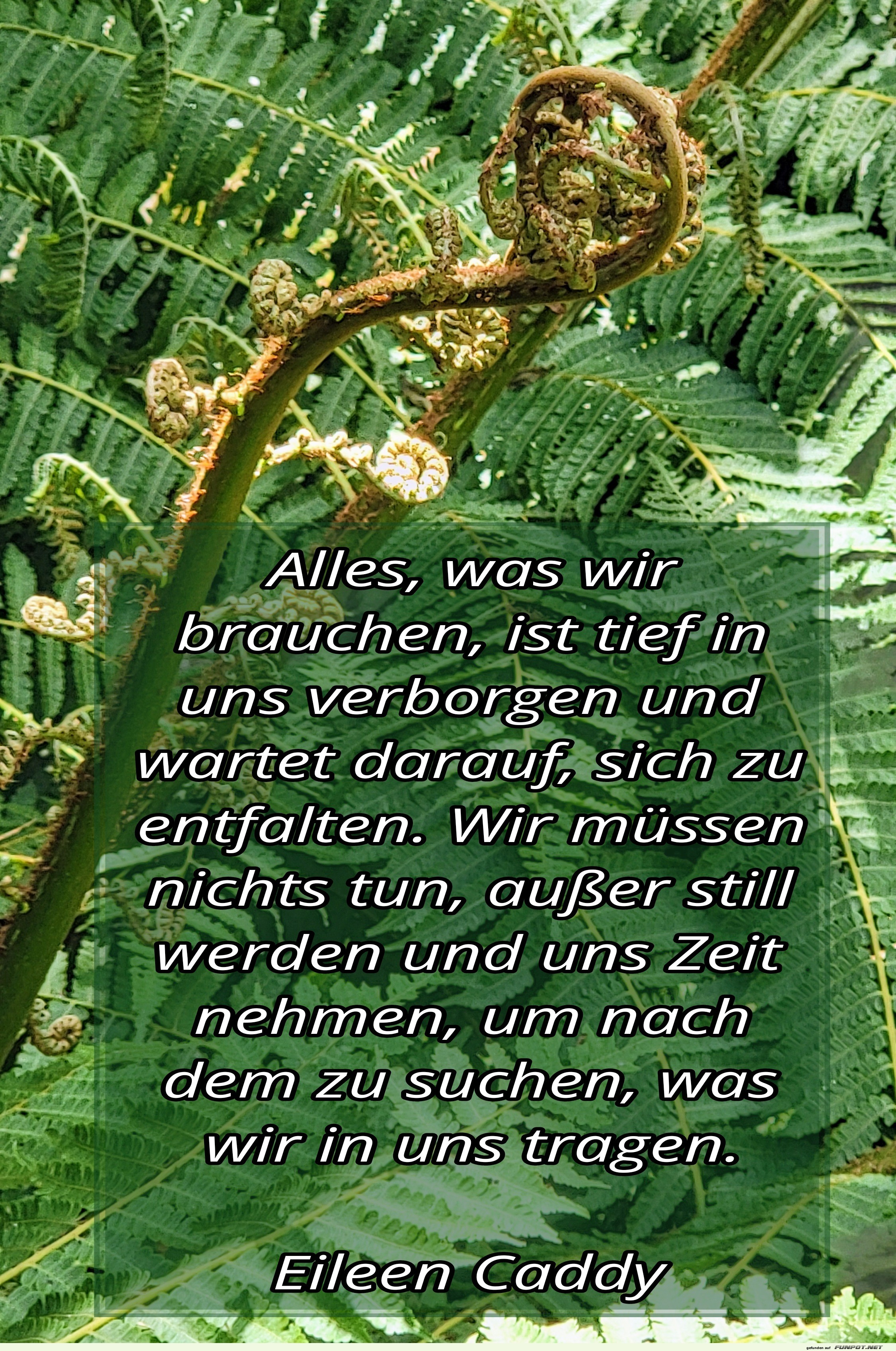 alles, was wir brauchen alles, was wir brauchen