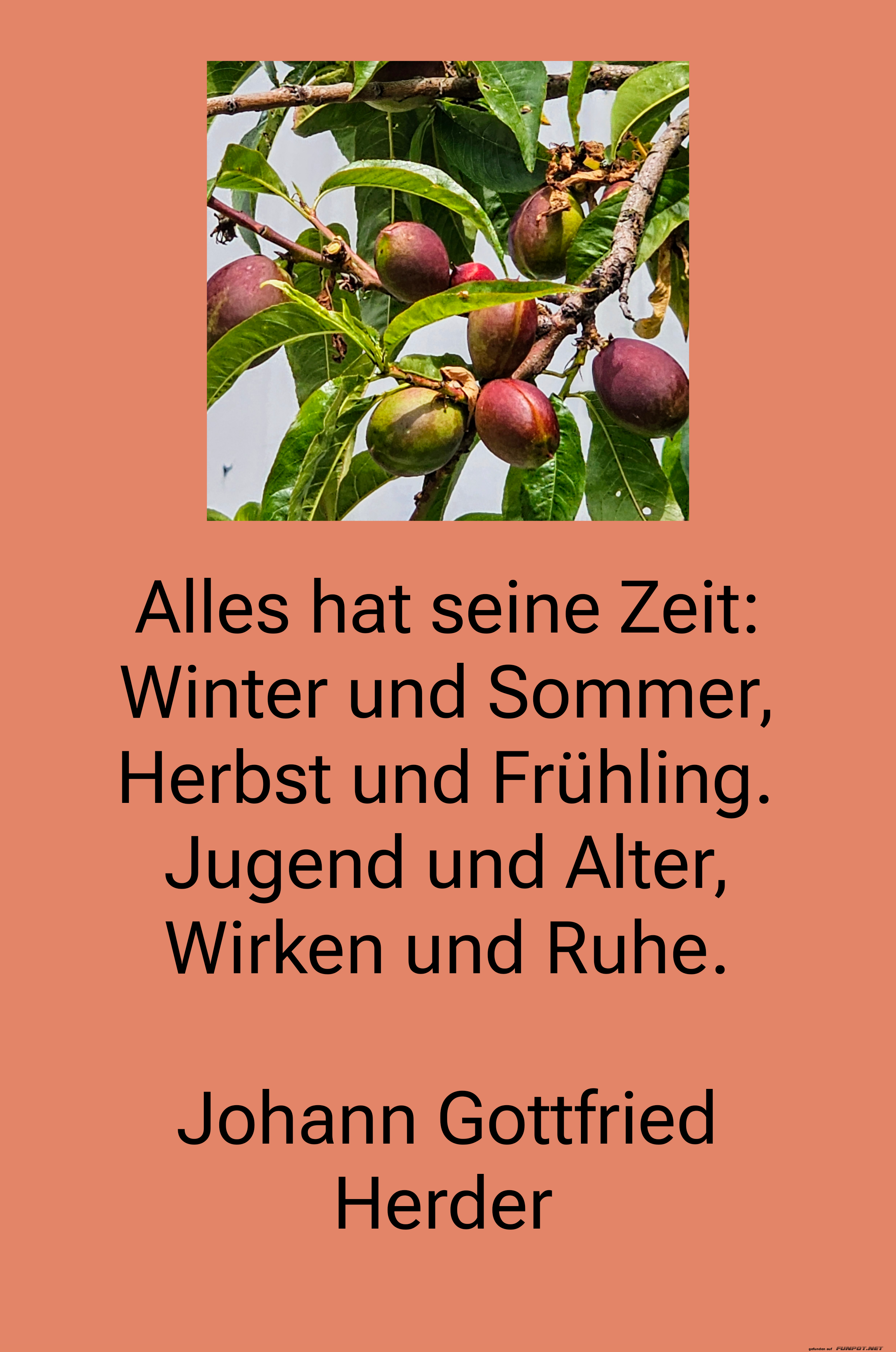 alles hat seine zeit alles hat seine zeit