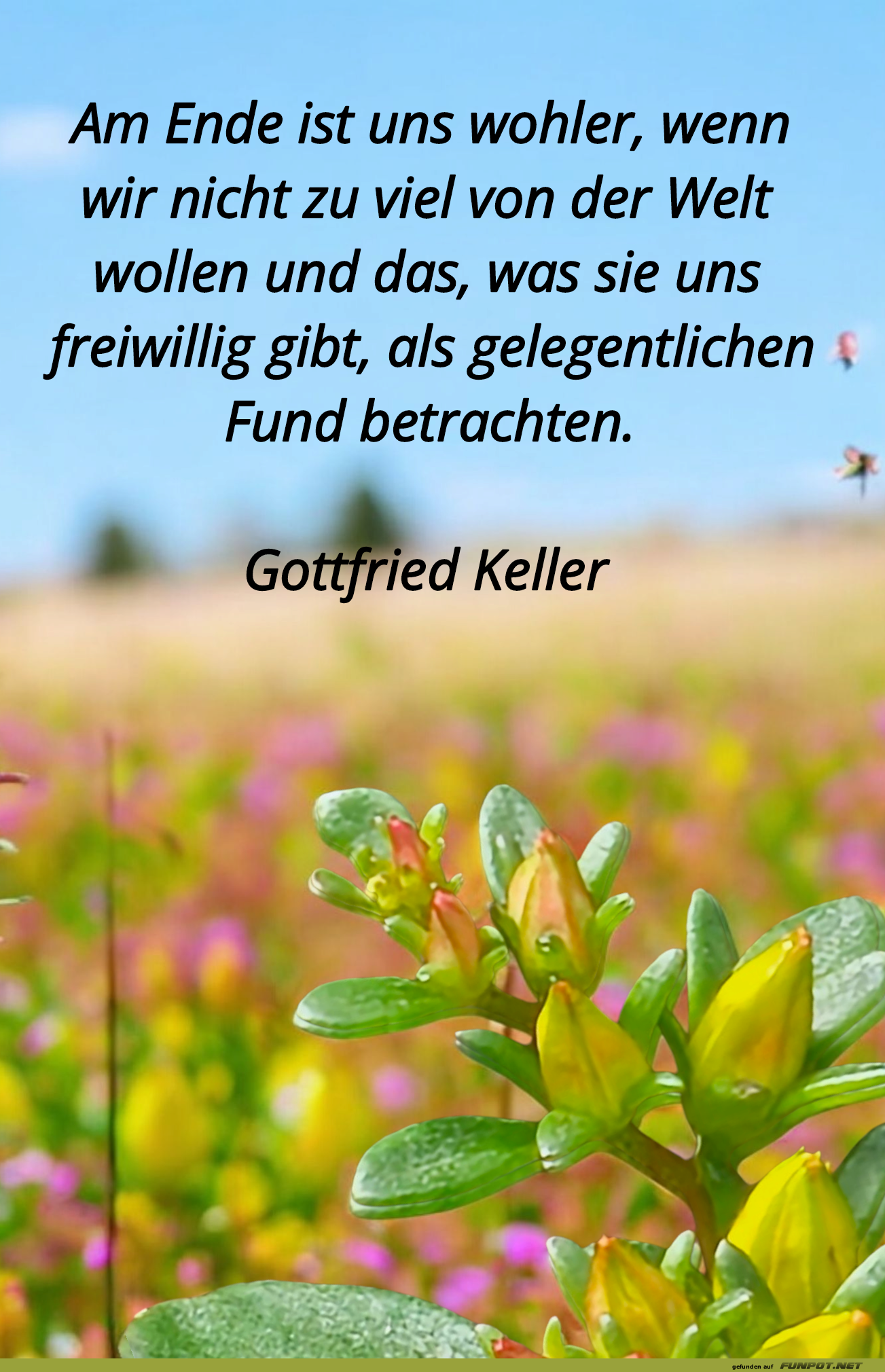 am ende ist uns wohler am ende ist uns wohler