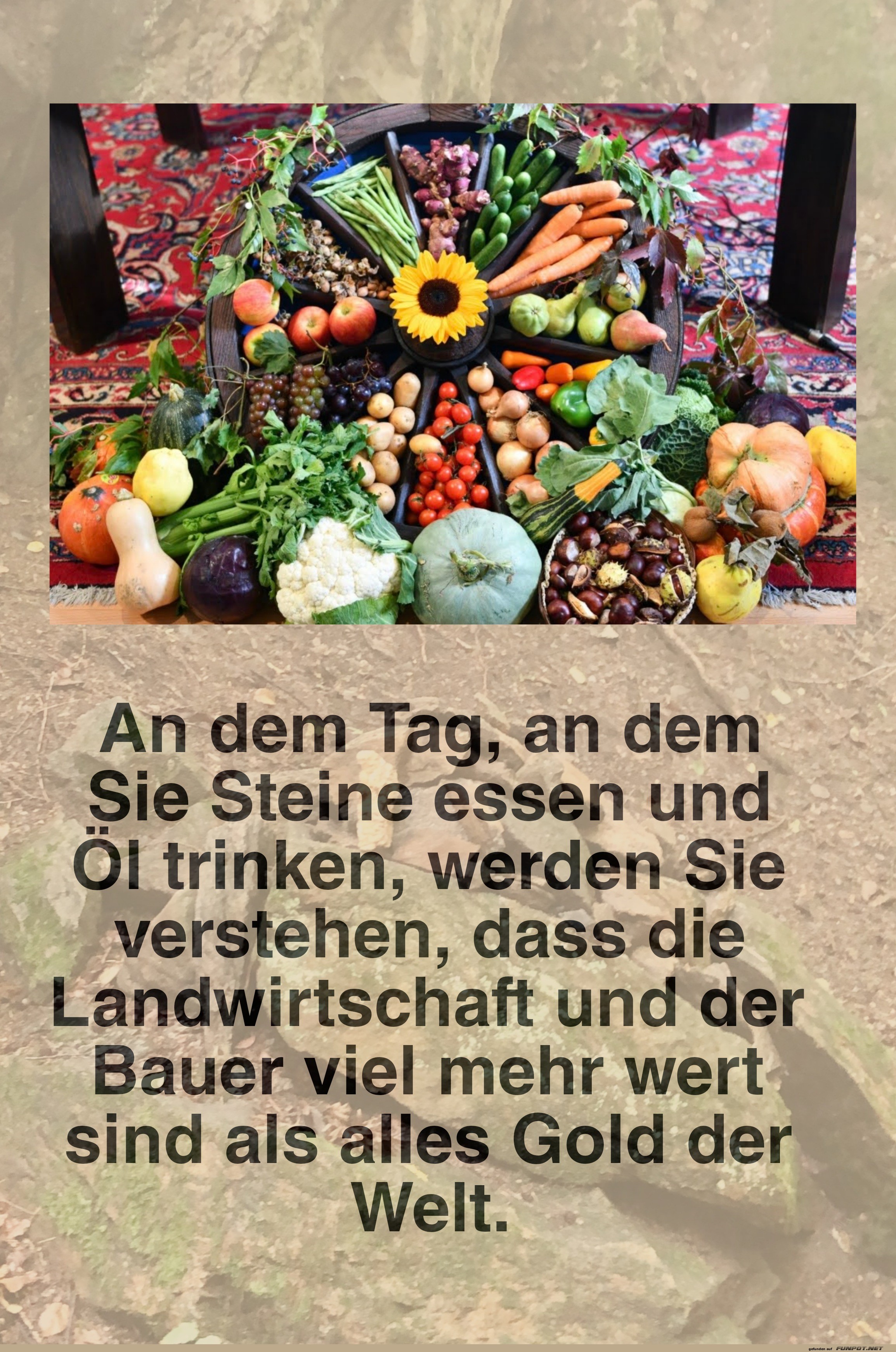 an dem Tag, an dem Sie Steine essen an dem Tag, an dem Sie Steine essen