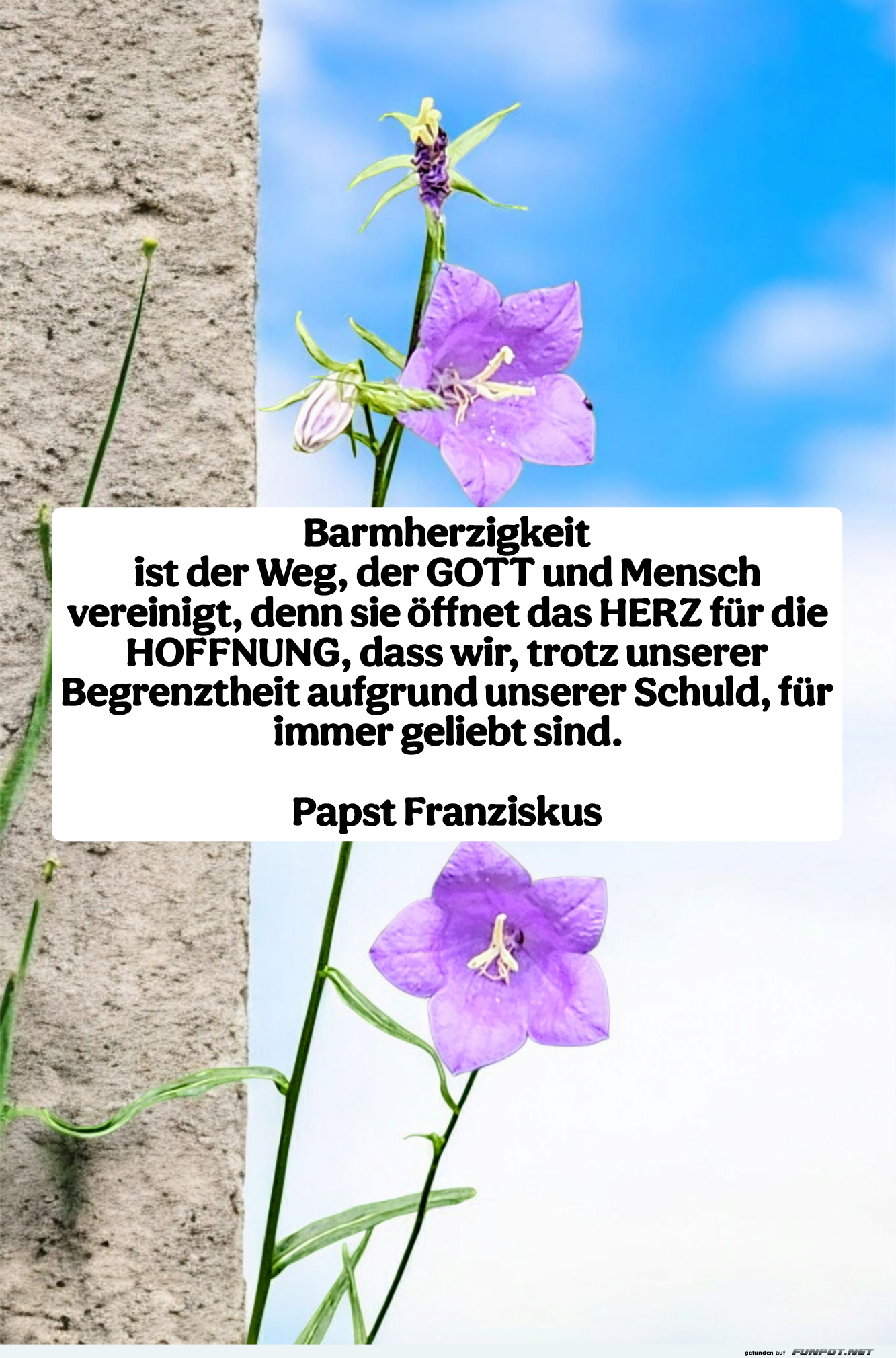 barmherzigkeit ist der weg