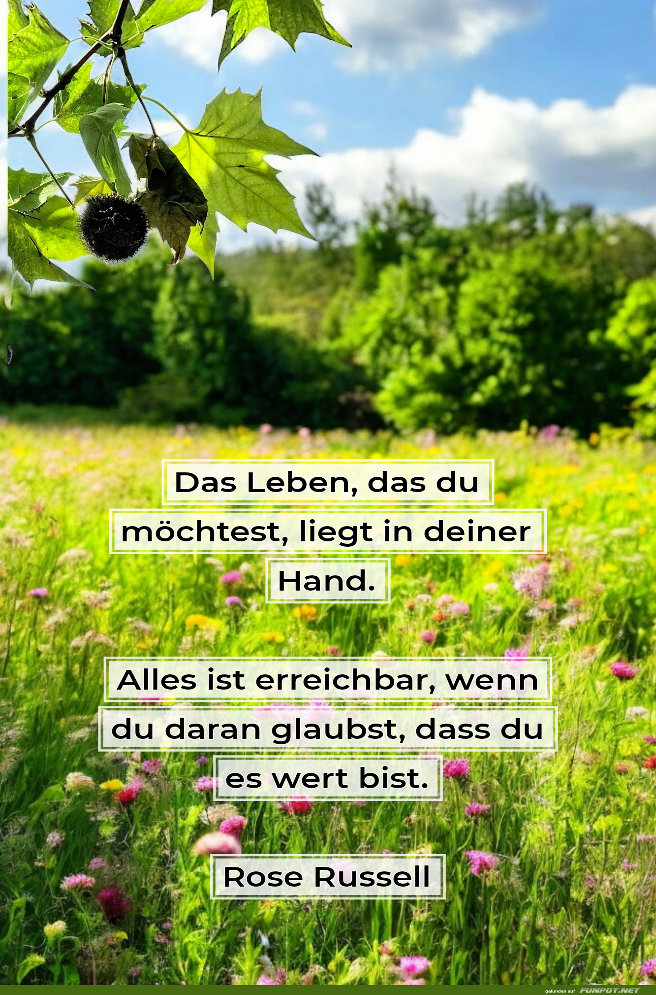 das leben, das du möchtest das leben, das du möchtest