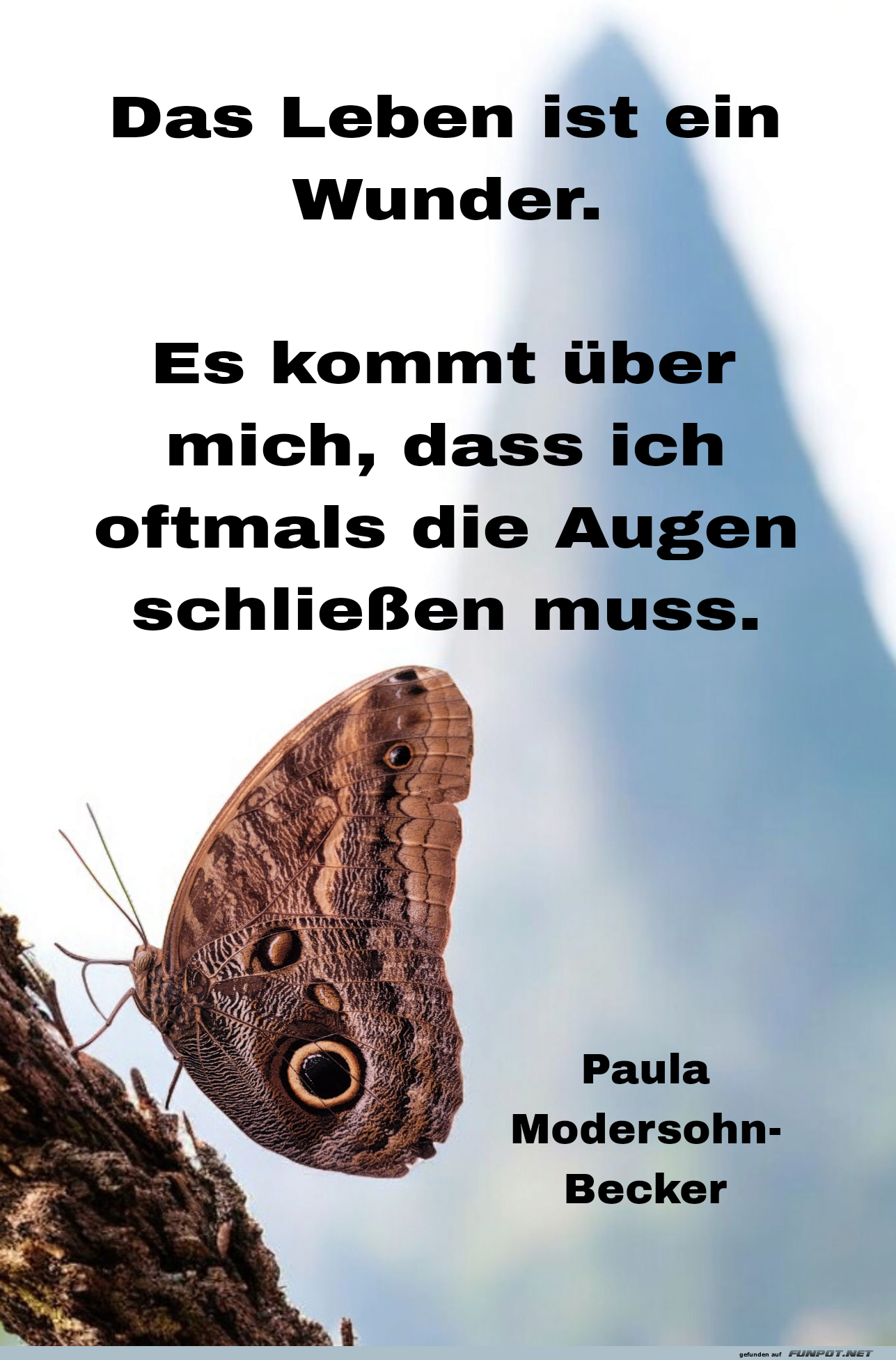 das leben ist ein wunder das leben ist ein wunder