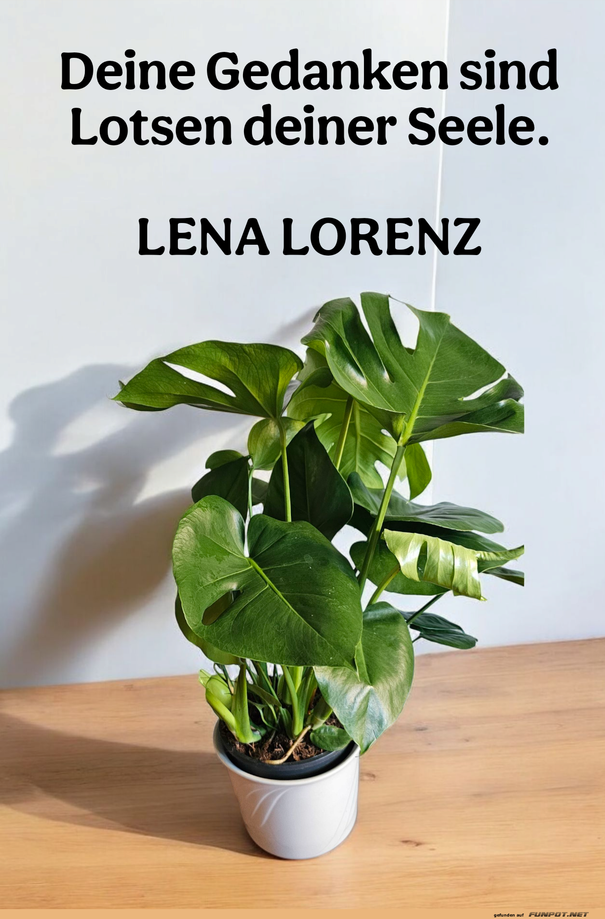 deine gedanken sind lotsen