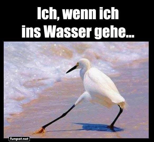 Eleganter Futest im Wasser