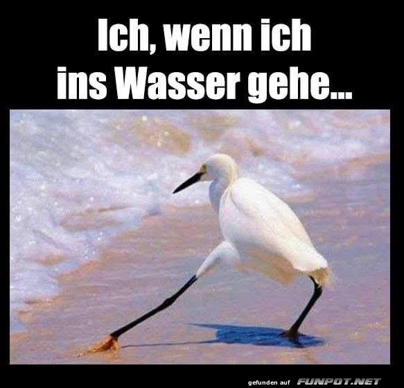 Eleganter Fußtest im Wasser Eleganter Fußtest im Wasser