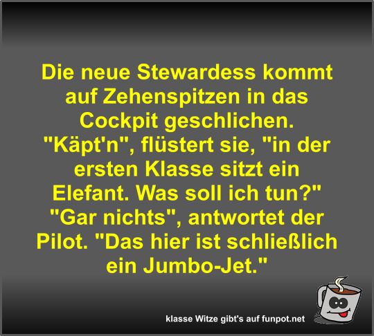 Die neue Stewardess kommt auf Zehenspitzen in das Cockpit... Die neue Stewardess kommt auf Zehenspitzen in das Cockpit...