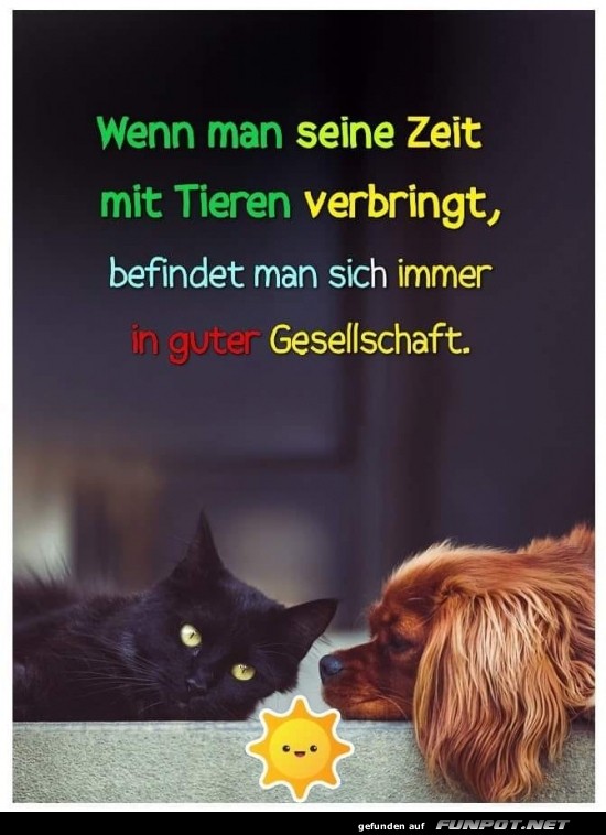 Beste Freunde: Pfote in Pfote! Beste Freunde: Pfote in Pfote!