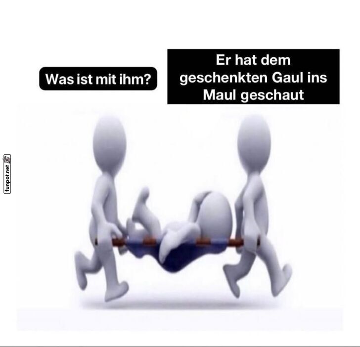 Geschenkgaul-Desaster: Nie reinschauen! Geschenkgaul-Desaster: Nie reinschauen!