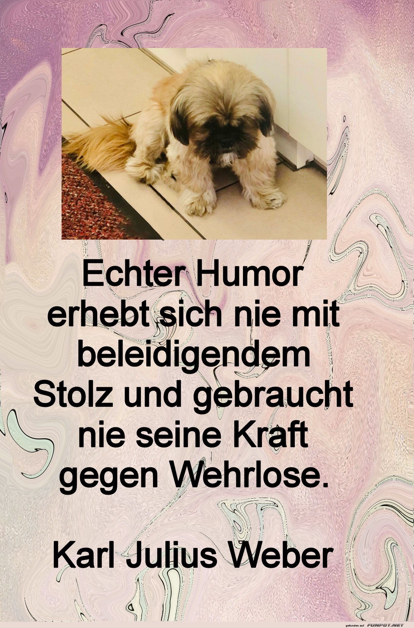 echter humor erhebt sich echter humor erhebt sich