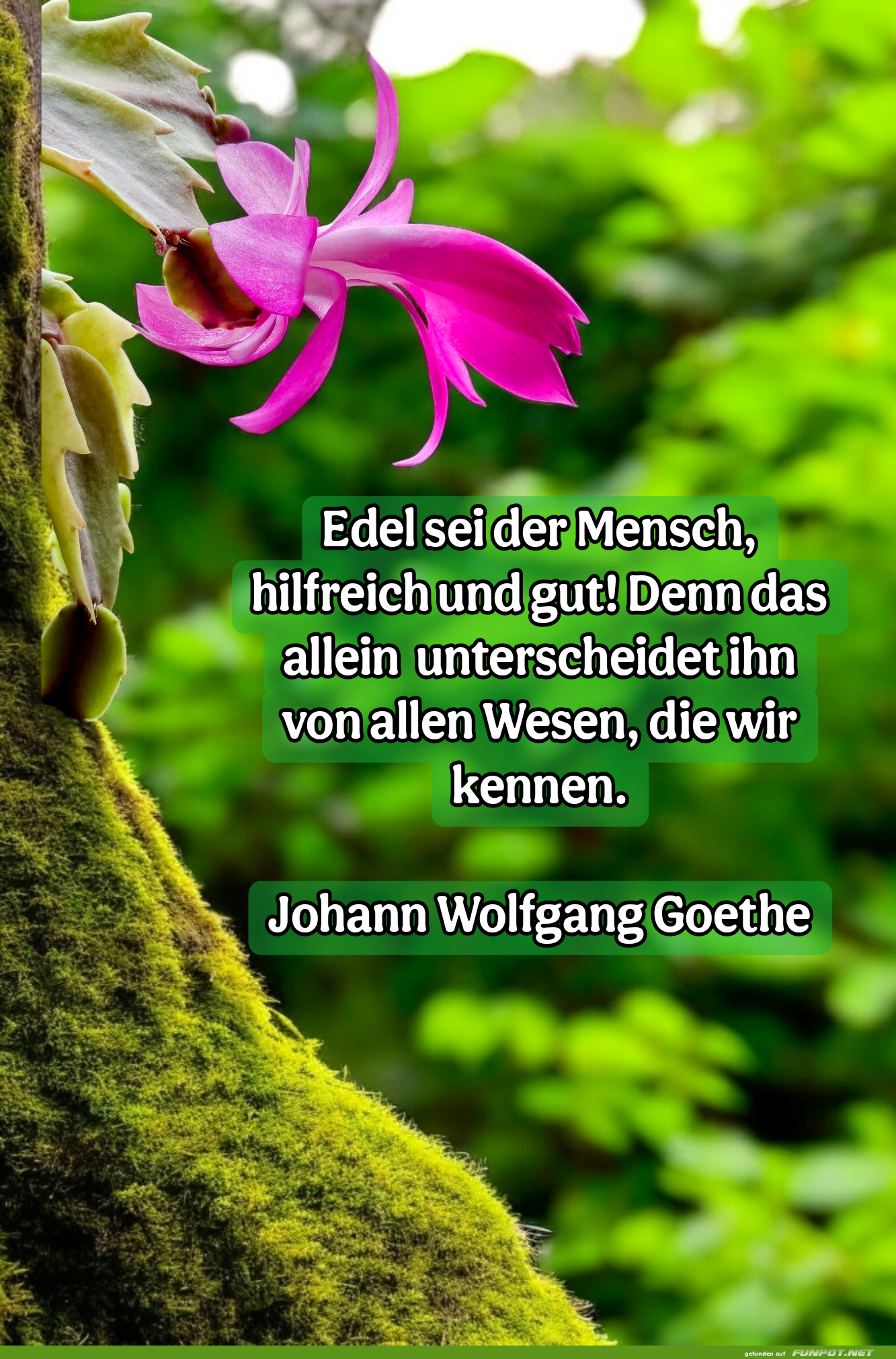 edel sei der mensch edel sei der mensch