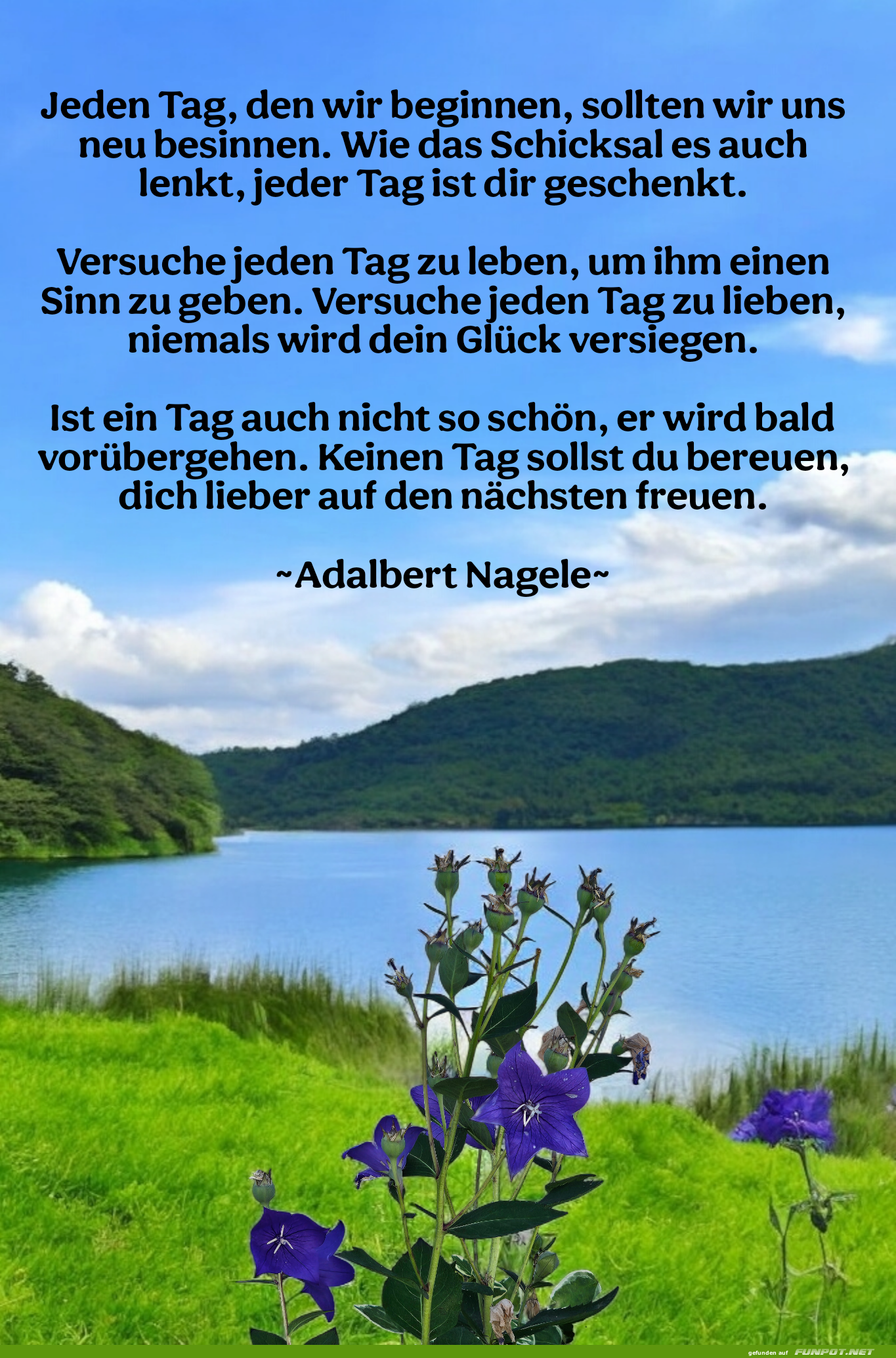 jeden tag, den wir beginnen, sollten wir uns neu.. jeden tag, den wir beginnen, sollten wir uns neu..