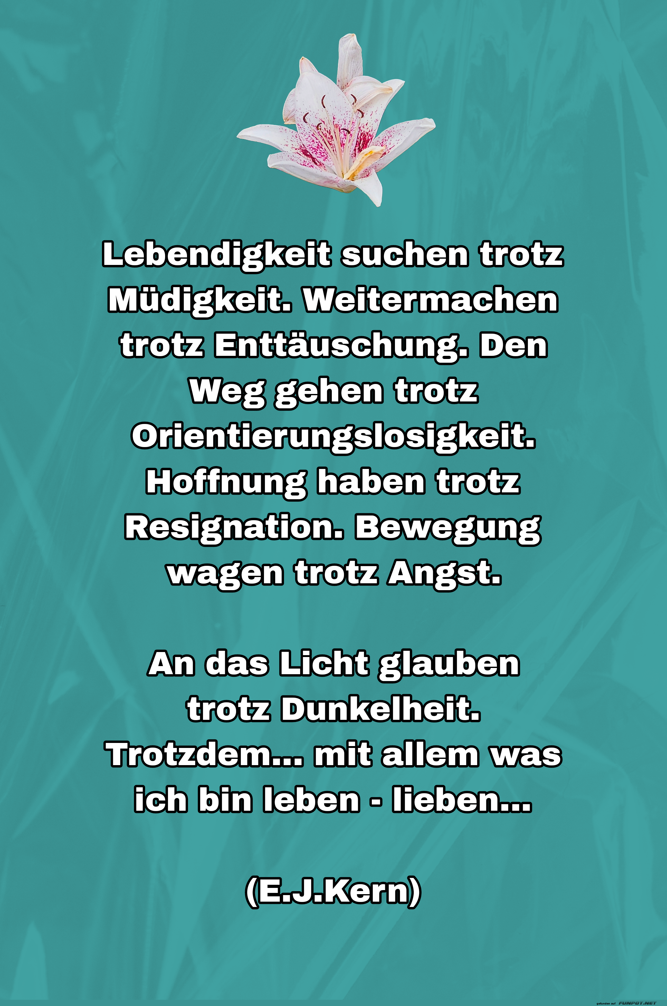 lebendigkeit suchen trotz müdigkeit lebendigkeit suchen trotz müdigkeit