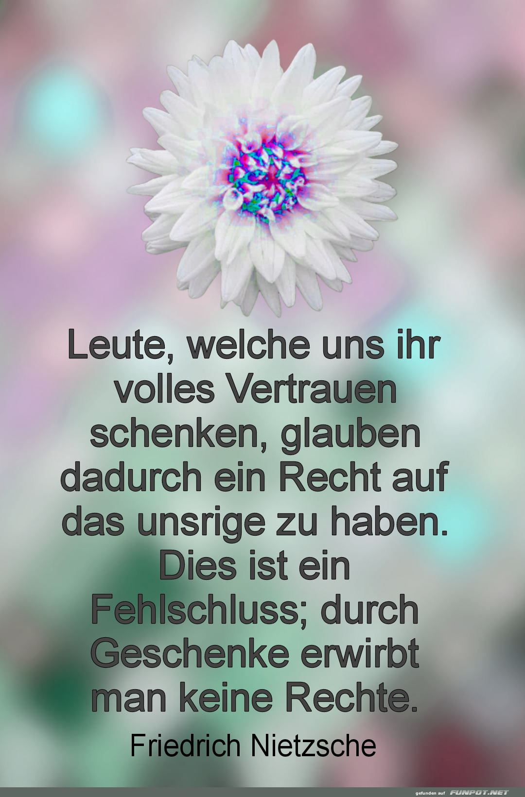 Blumenweisheit: Vertrauen und Missverständnis Blumenweisheit: Vertrauen und Missverständnis