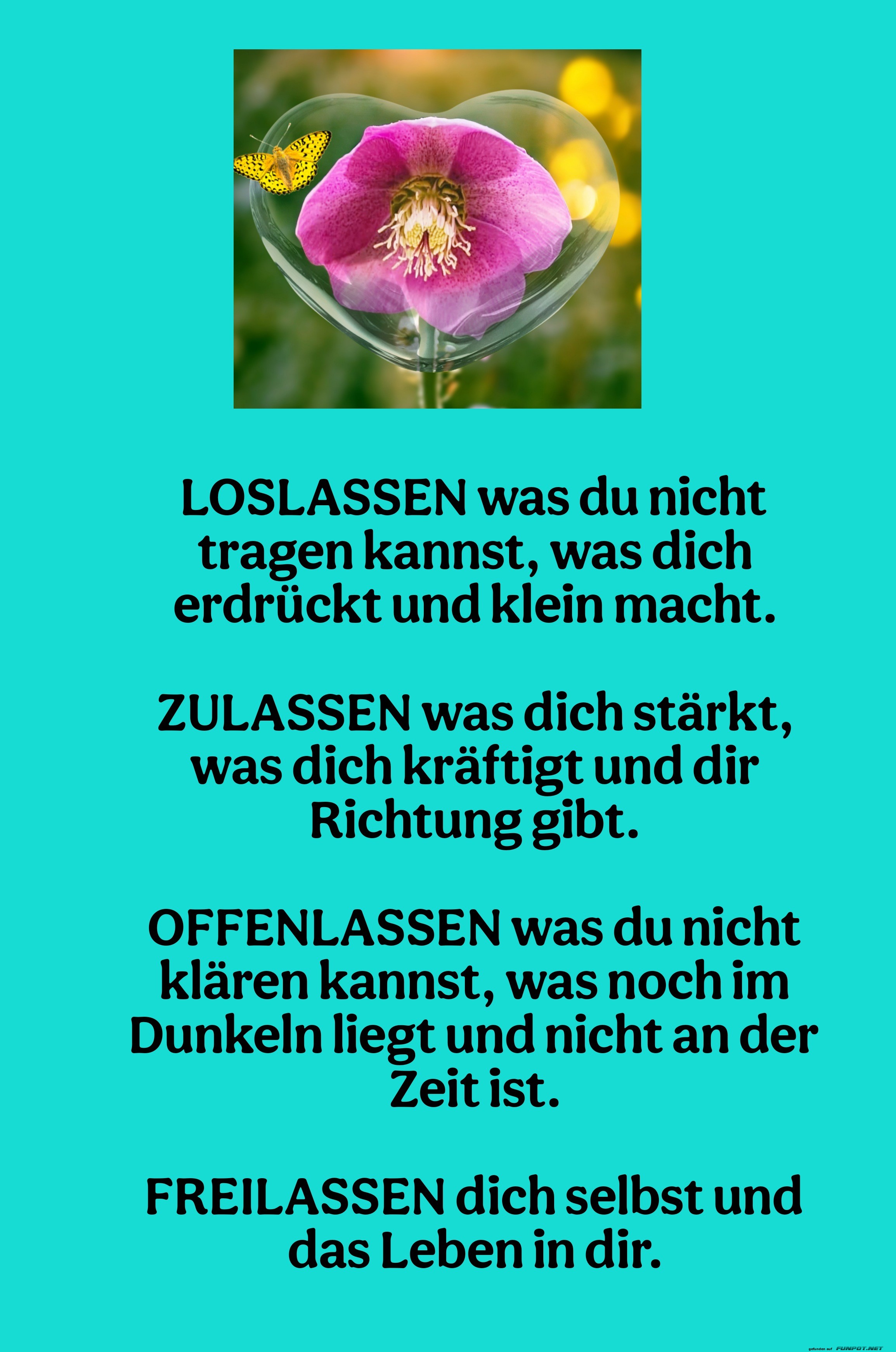 loslassen was du nicht tragen kannst