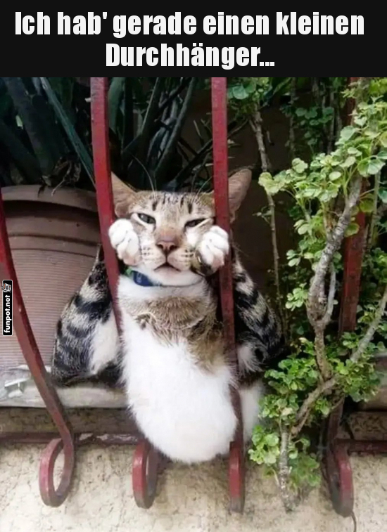 Wenn der Alltag dich festhält! Wenn der Alltag dich festhält!