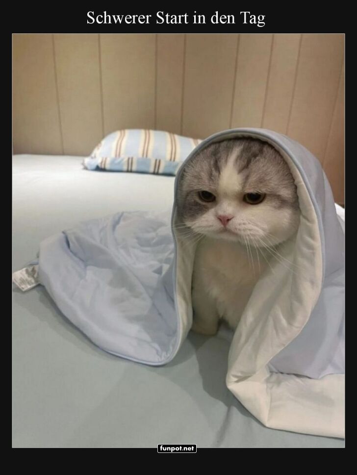 Wenn der Morgenmuffel-Modus aktiviert ist