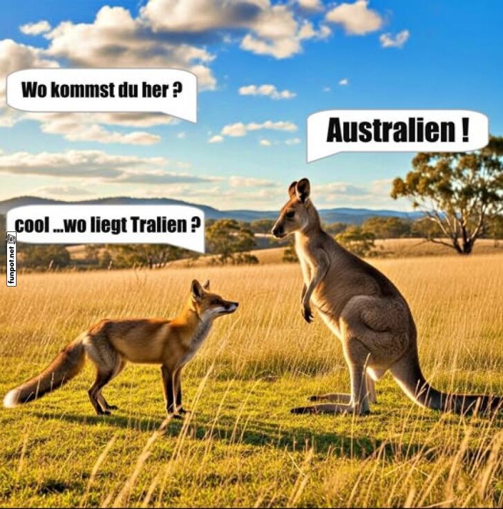 Knguru und Fuchs auf Geografie-Abwegen