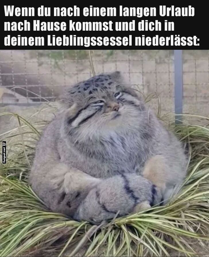 Wenn die Couch wie Urlaub aussieht