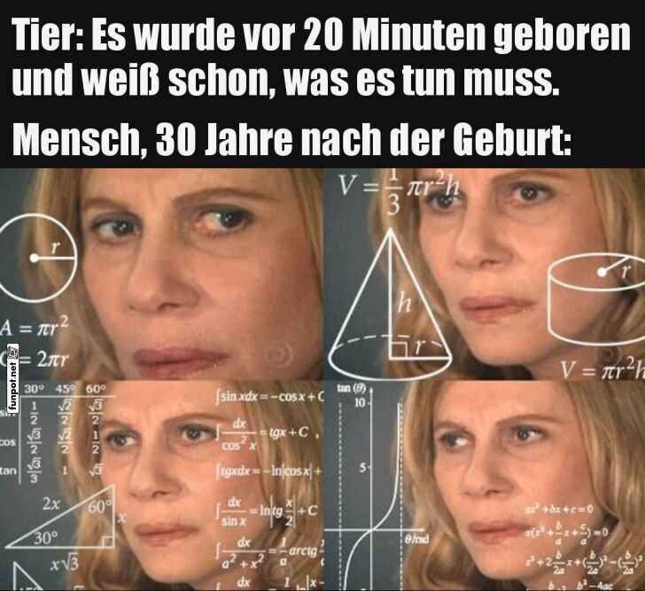 Wenn Tiere alles sofort checken