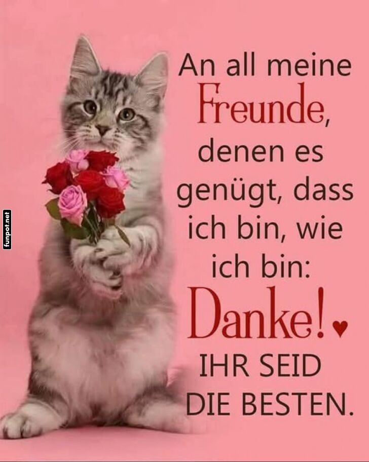 Dankbare Katze mit Blumen sagt Danke Dankbare Katze mit Blumen sagt Danke