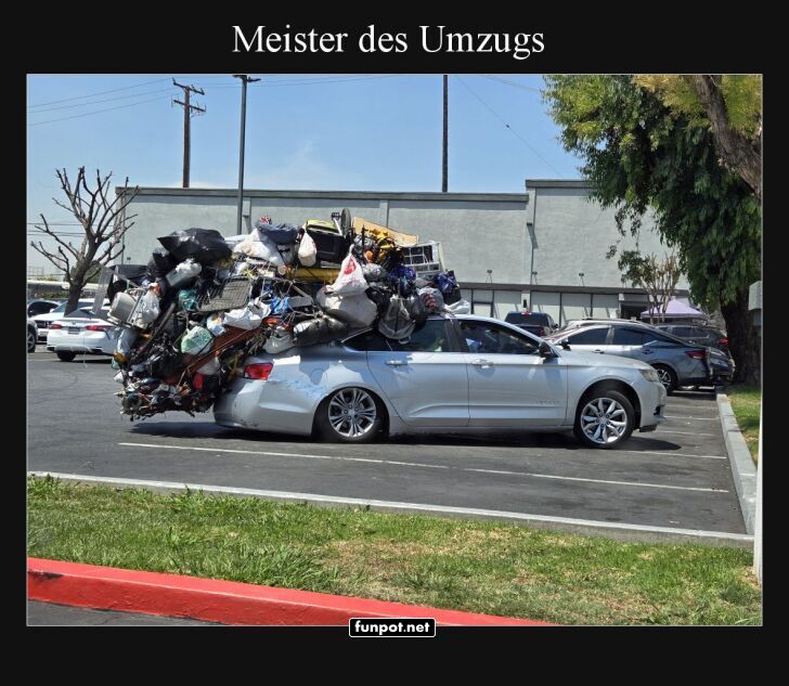 Umzug auf die leichte Schulter genommen