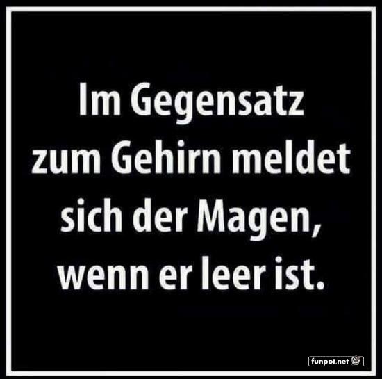 Der weise Magenratgeber Der weise Magenratgeber
