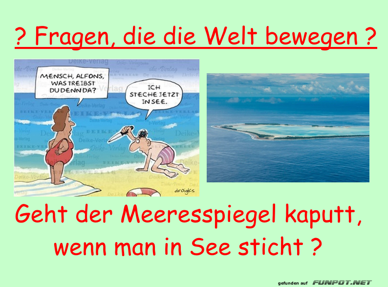 Meeresrtsel: Kaputt oder nicht?