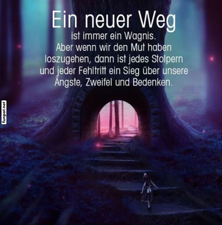 Abenteuerlust im Zauberwald