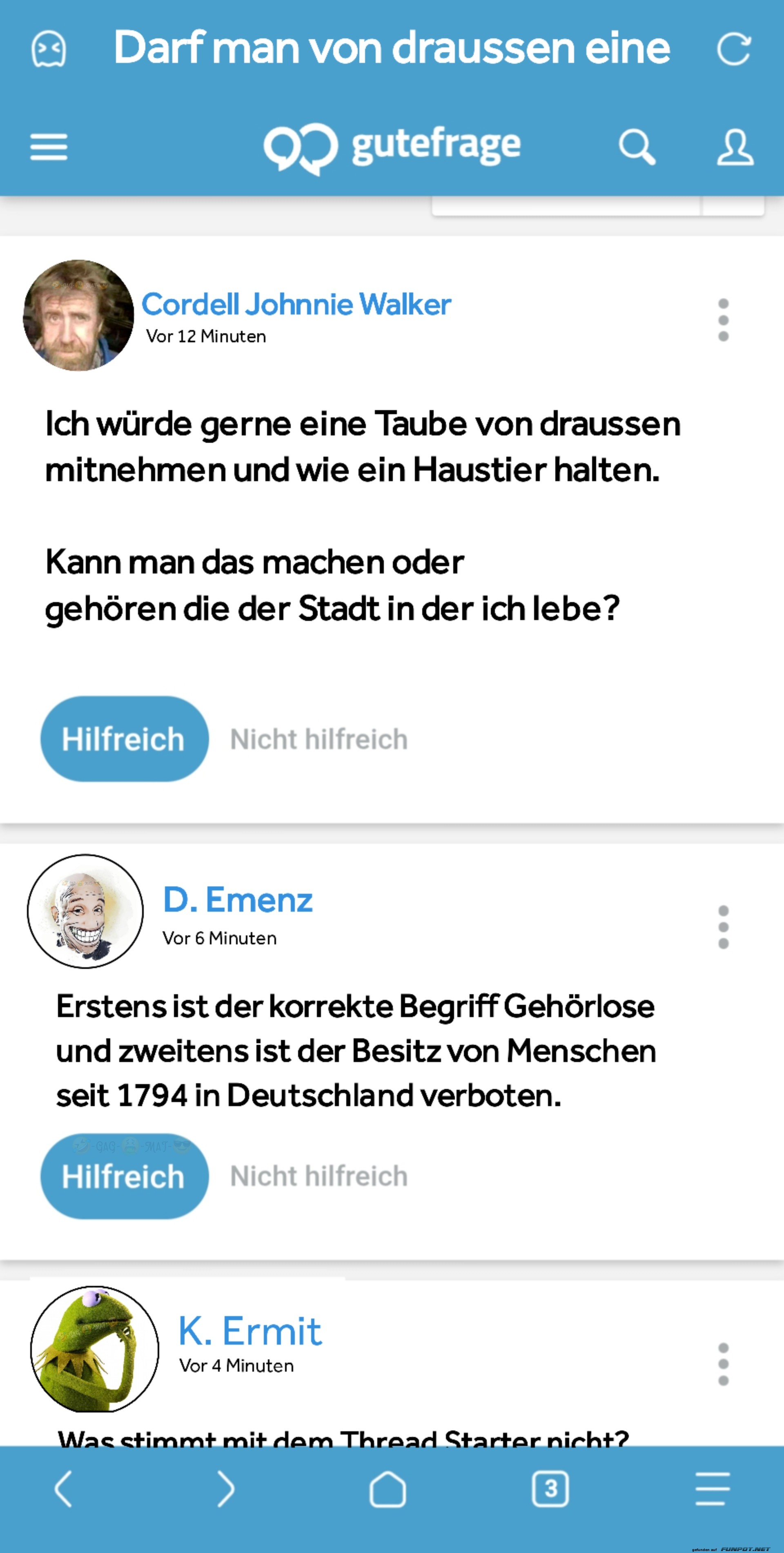Tauben als Haustiere?