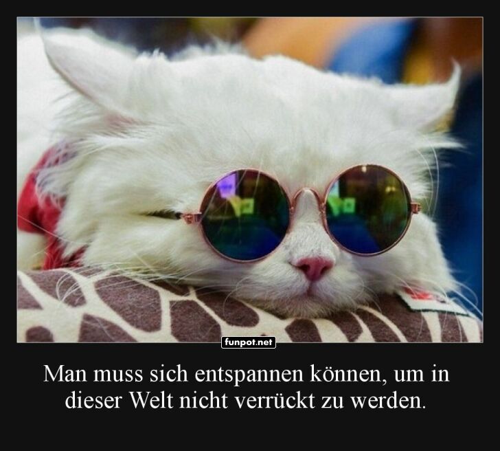 Geheime Weisheiten der coolen Katze Geheime Weisheiten der coolen Katze