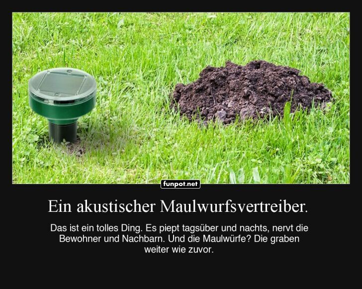 Maulwurfsdisco statt Maulwurfsfrieden Maulwurfsdisco statt Maulwurfsfrieden
