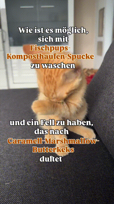 Gute Frage Gute Frage