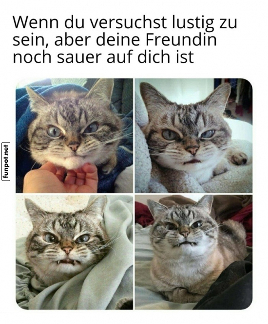 Wenn Blicke töten könnten... ? Wenn Blicke töten könnten... ?