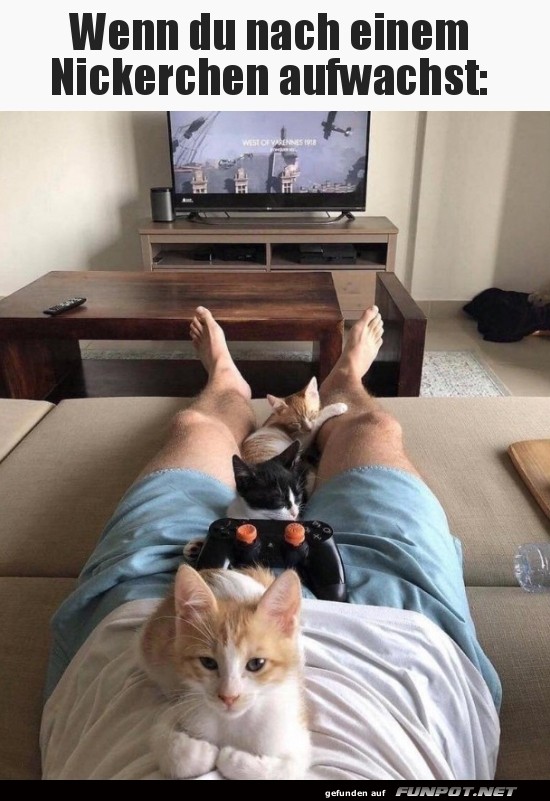 Katzen-Gaming-Team reloaded! Katzen-Gaming-Team reloaded!