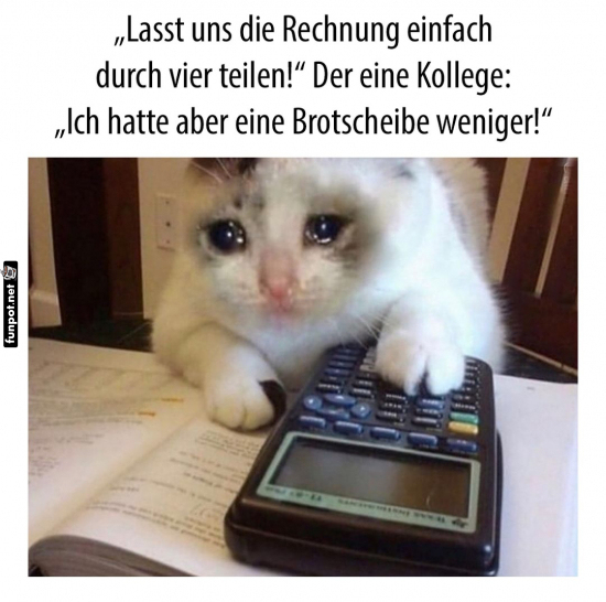 Miau-liches Mathe-Drama in der Futterfabrik Miau-liches Mathe-Drama in der Futterfabrik
